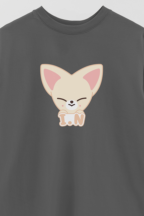 REMERA OVER ESTAMPADA SKZOO1 I.N