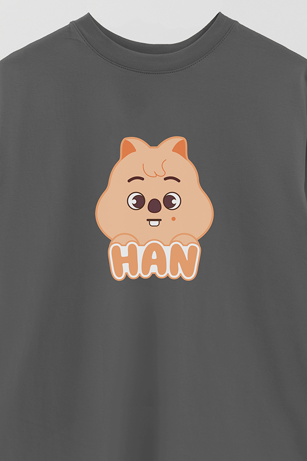 REMERA OVER ESTAMPADA SKZOO1 HAN
