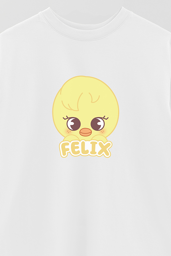 REMERA OVER ESTAMPADA SKZOO1 FELIX