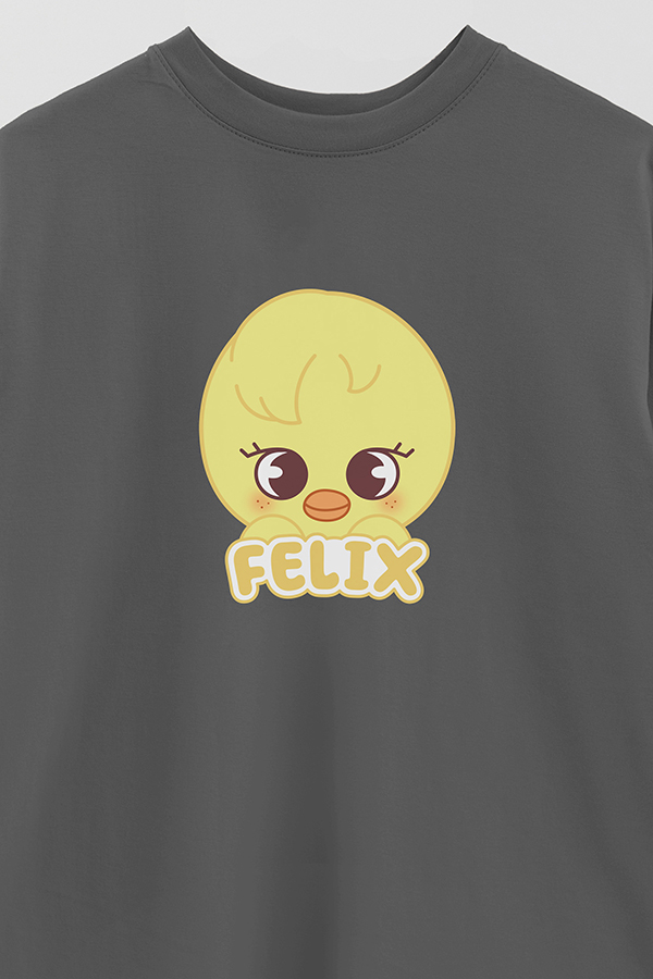 REMERA OVER ESTAMPADA SKZOO1 FELIX