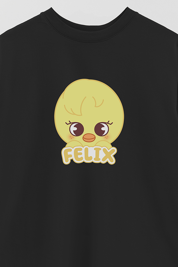 REMERA OVER ESTAMPADA SKZOO1 FELIX