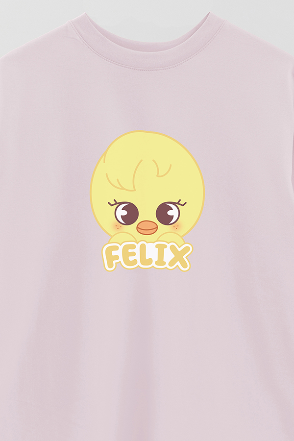 REMERA OVER ESTAMPADA SKZOO1 FELIX