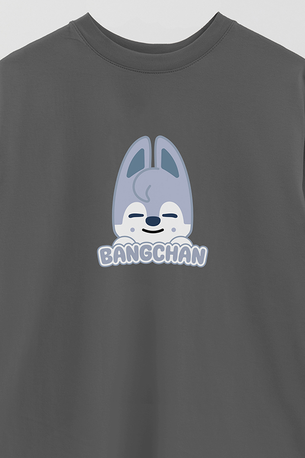 REMERA OVER ESTAMPADA SKZOO1 BANGCHAN