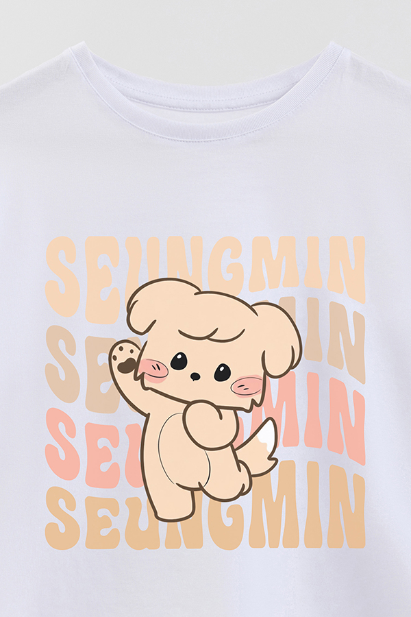 REMERA KID OVERSIZE SKZ RT SEUNGMIN