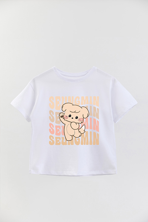 REMERA KID OVERSIZE SKZ RT SEUNGMIN