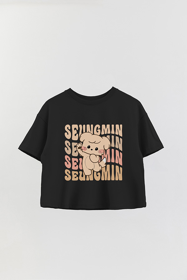 REMERA CROP ESTAMPADA SKZ RT SEUNGMIN