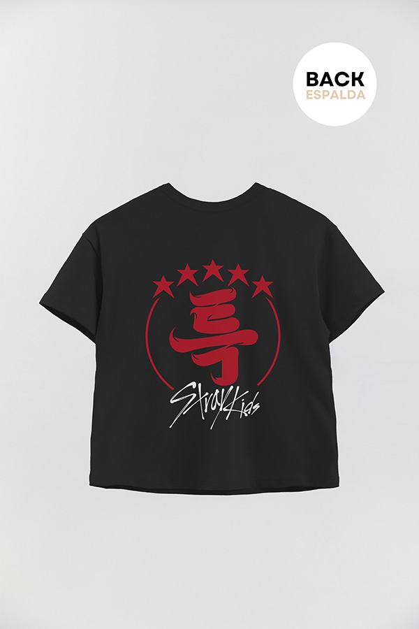 REMERA KID OVERSIZE STRAY KIDS FB TK