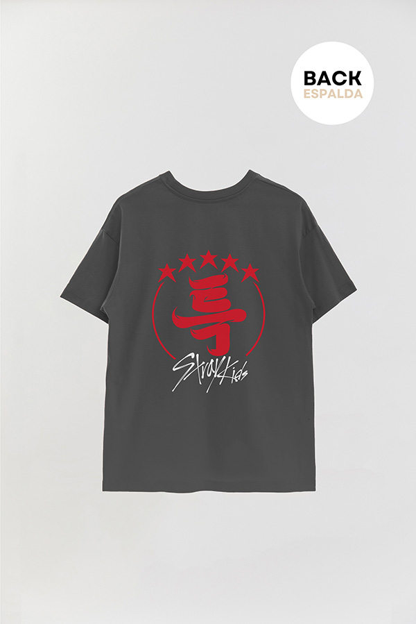 REMERA OVER ESTAMPADA STRAY KIDS FB TK
