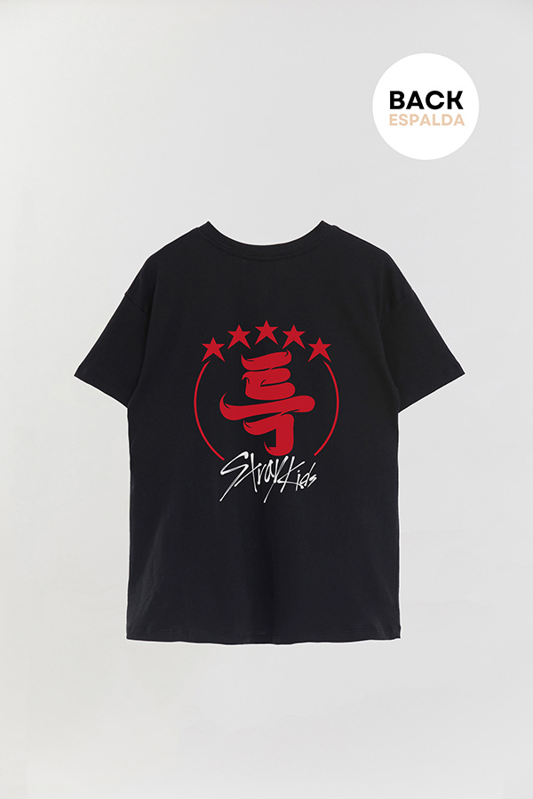 REMERA OVER ESTAMPADA STRAY KIDS FB TK