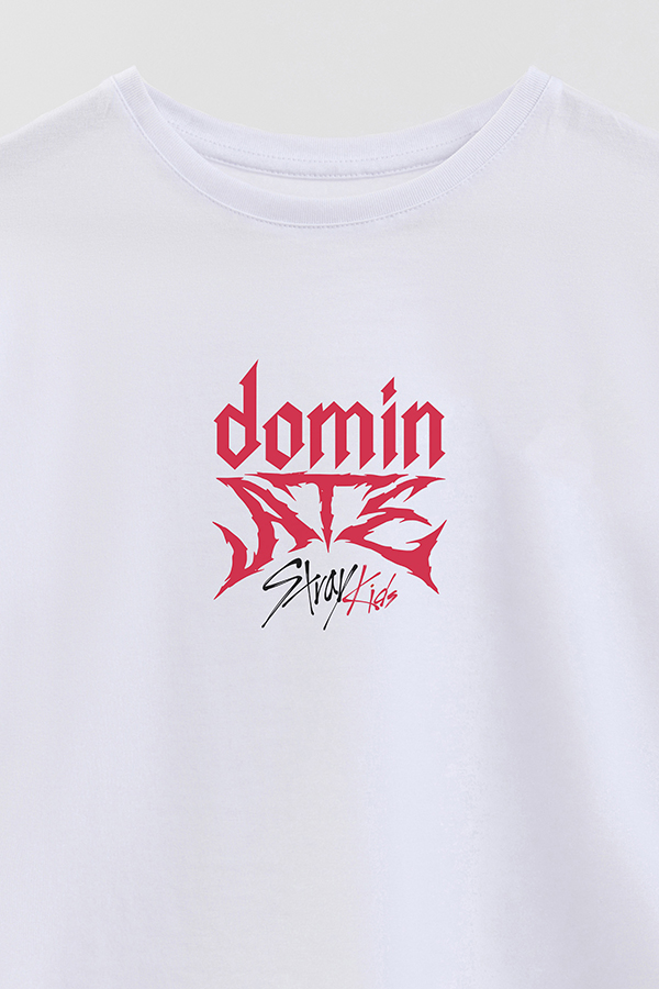 REMERA KID OVERSIZE STRAY KIDS FB DOMIN ATE