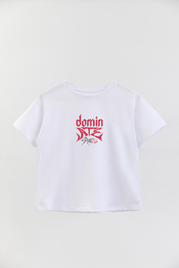 REMERA KID OVERSIZE STRAY KIDS FB DOMIN ATE