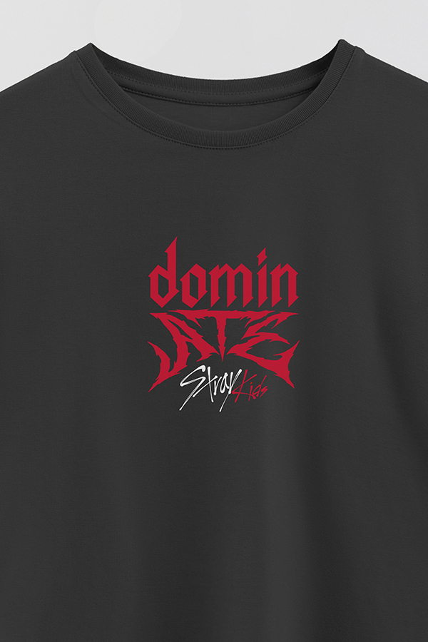 REMERA KID OVERSIZE STRAY KIDS FB DOMIN ATE
