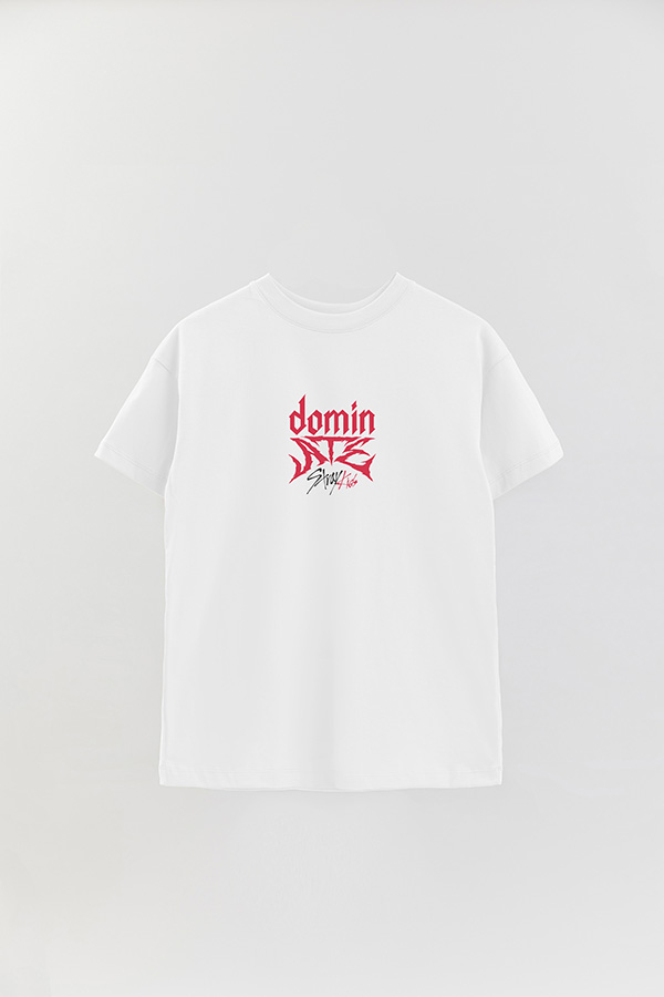 REMERA OVER ESTAMPADA STRAY KIDS FB DOMIN ATE