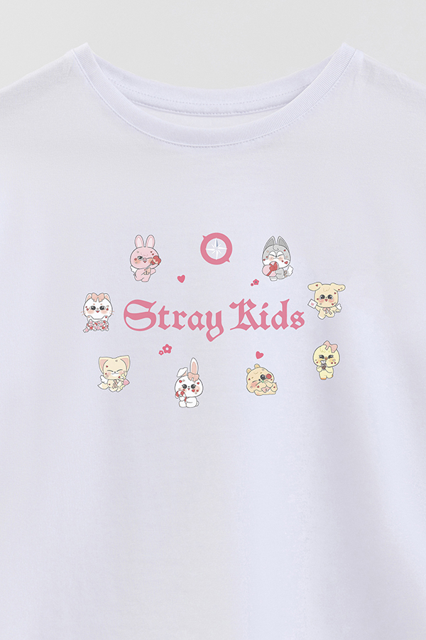 REMERA KID OVERSIZE STRAY KIDS FB CT