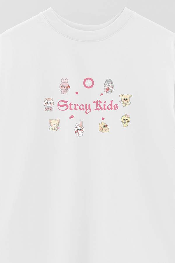 REMERA OVER ESTAMPADA STRAY KIDS FB CT