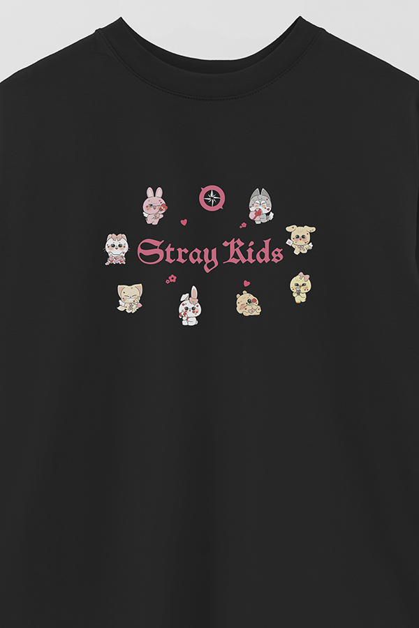 REMERA OVER ESTAMPADA STRAY KIDS FB CT