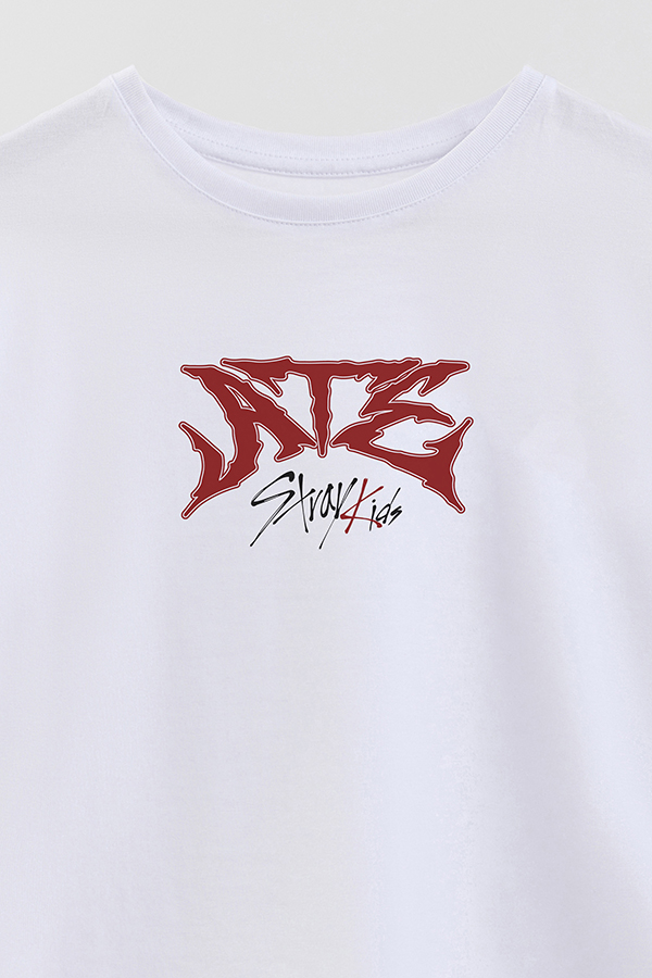 REMERA KID OVERSIZE STRAY KIDS FB ATE