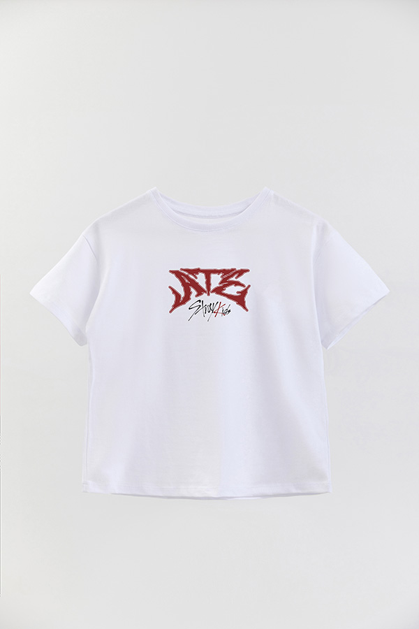 REMERA KID OVERSIZE STRAY KIDS FB ATE