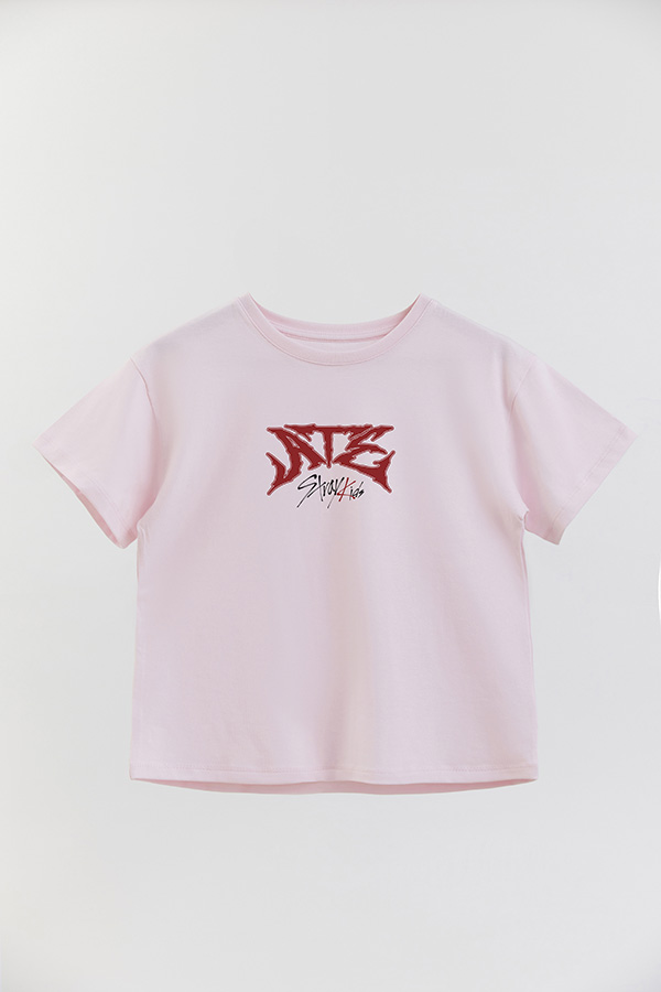 REMERA KID OVERSIZE STRAY KIDS FB ATE
