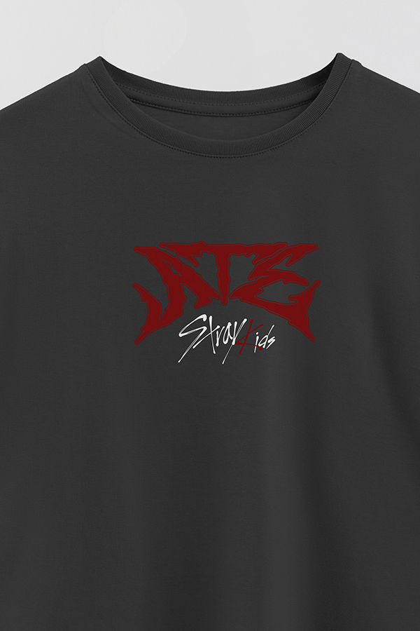 REMERA KID OVERSIZE STRAY KIDS FB ATE