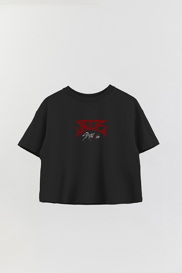 REMERA CROP ESTAMPADA STRAY KIDS FB ATE