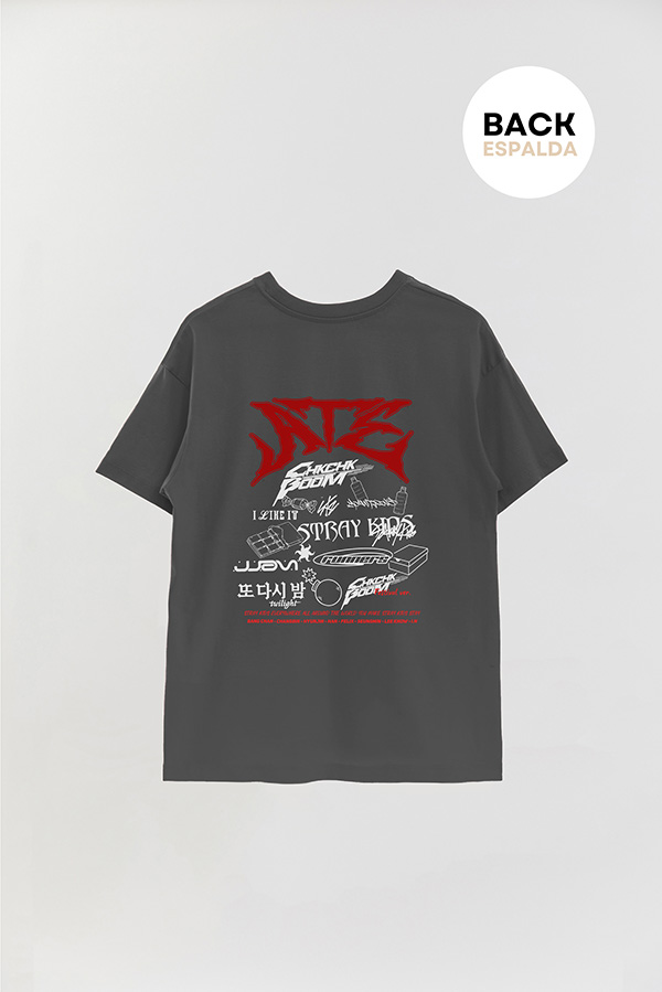 REMERA OVER ESTAMPADA STRAY KIDS FB ATE