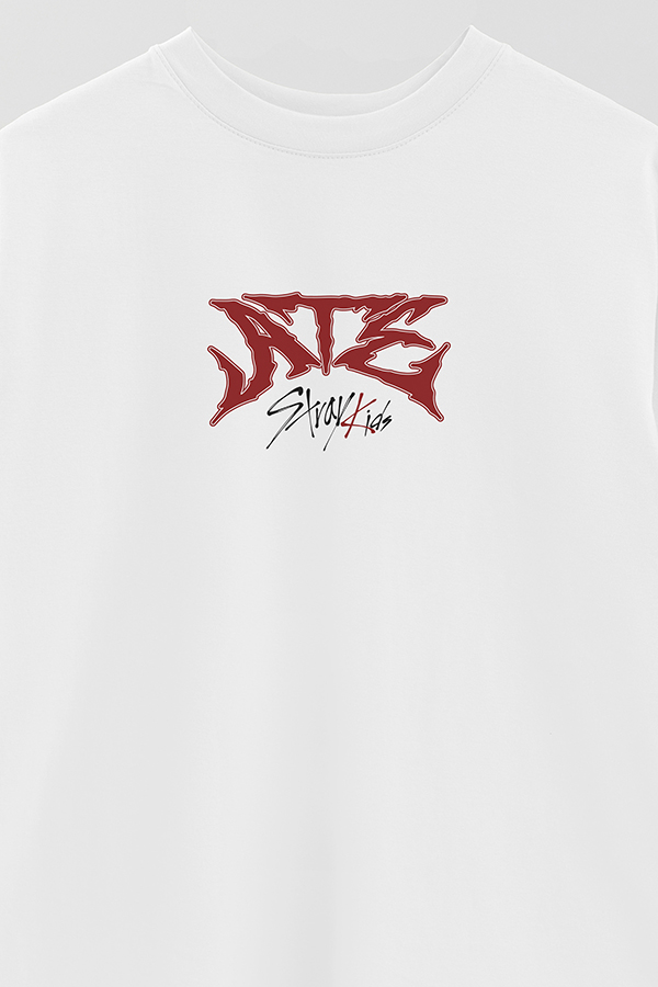 REMERA OVER ESTAMPADA STRAY KIDS FB ATE
