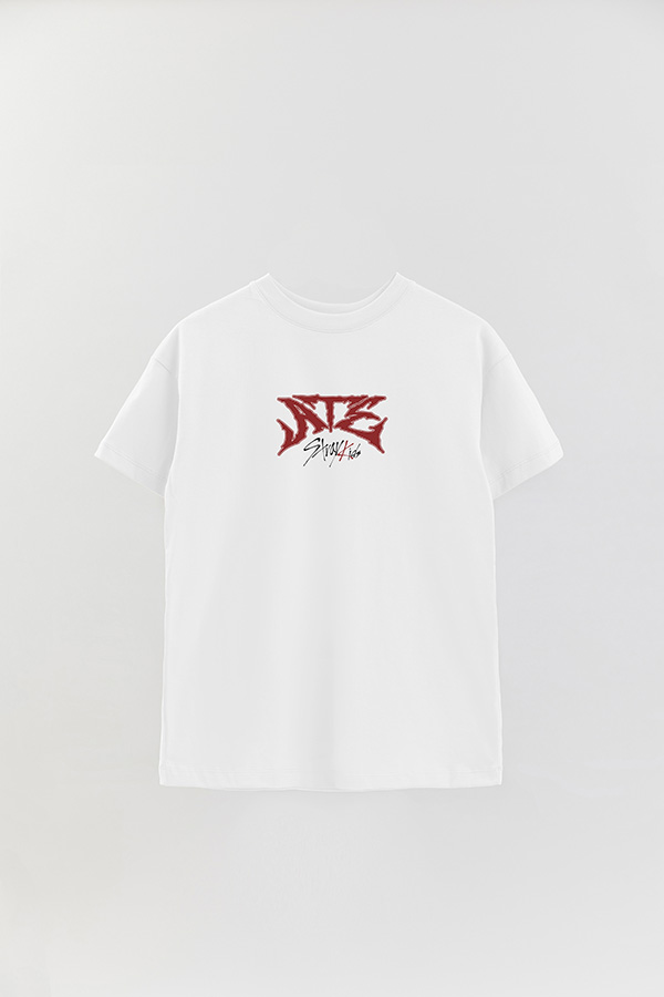 REMERA OVER ESTAMPADA STRAY KIDS FB ATE