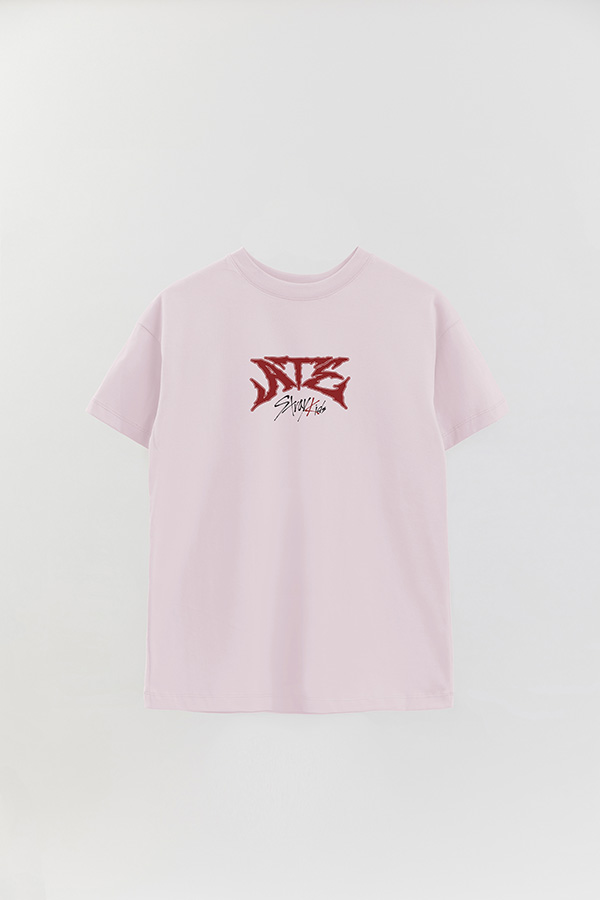 REMERA OVER ESTAMPADA STRAY KIDS FB ATE