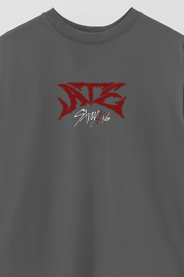 REMERA OVER ESTAMPADA STRAY KIDS FB ATE