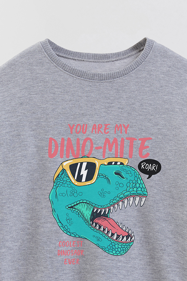 BUZO CREWNECK RUSTICO DINOSAUR DINO TIME