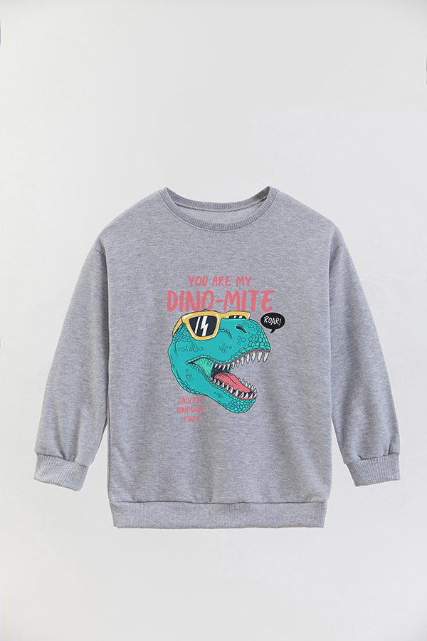 BUZO CREWNECK RUSTICO DINOSAUR DINO TIME