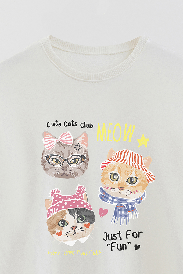 BUZO CREWNECK RUSTICO KITTY DREAMS FUN