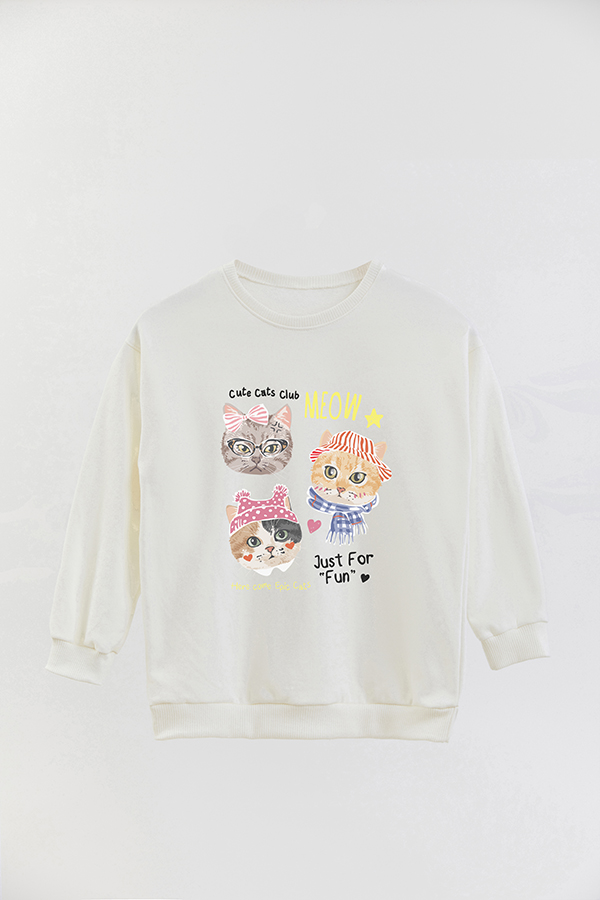 BUZO CREWNECK RUSTICO KITTY DREAMS FUN