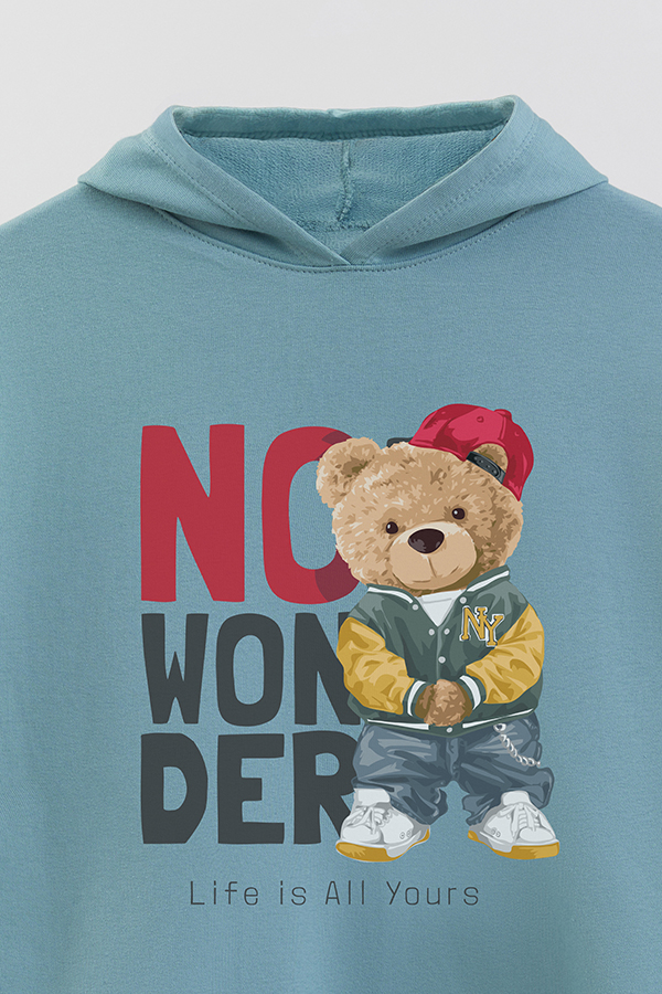 HOODIE RÚSTICO BOY TEDDY LIFE IS ALL YOURS