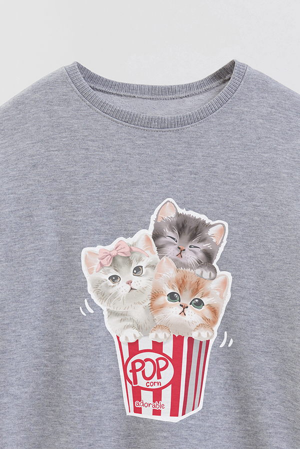 BUZO CREWNECK RUSTICO KITTY DREAMS POP CORN