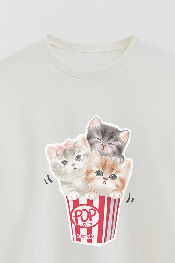 BUZO CREWNECK RUSTICO KITTY DREAMS POP CORN