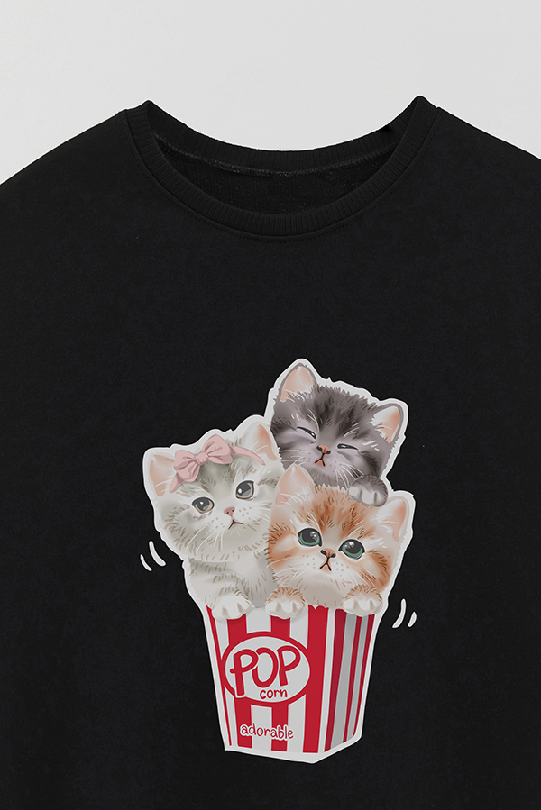 BUZO CREWNECK RUSTICO KITTY DREAMS POP CORN
