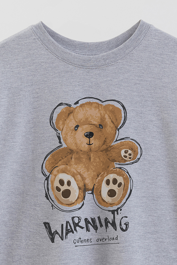 REMERA OVER ESTAMPADA UNISEX TEDDY WARNING