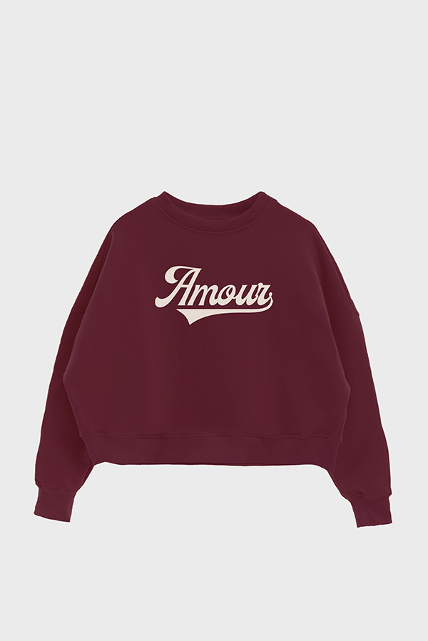 BUZO CROP ESTAMPADO VARSITY AMOUR