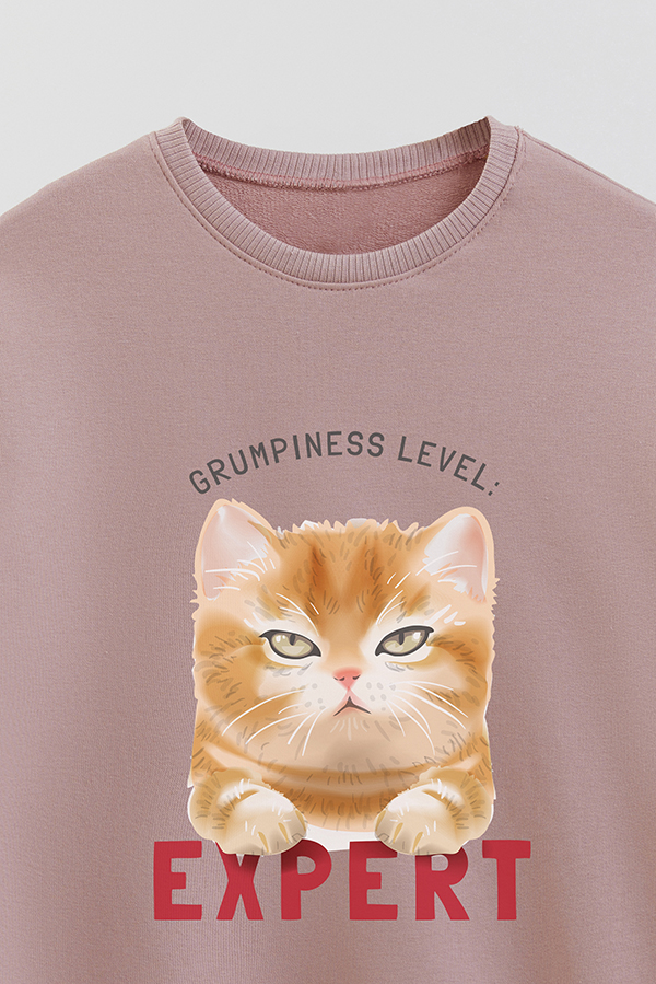 BUZO CREWNECK RUSTICO KITTY DREAMS EXPERT