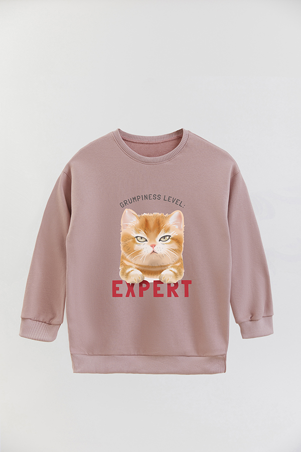 BUZO CREWNECK RUSTICO KITTY DREAMS EXPERT