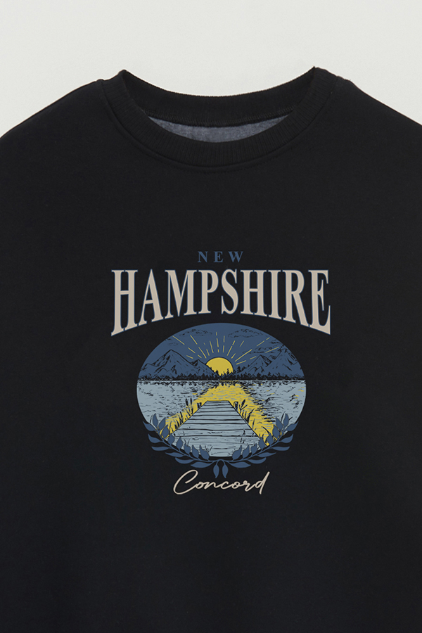 BUZO CREWNECK ESTAMPADO WESTERN HAMPSHIRE