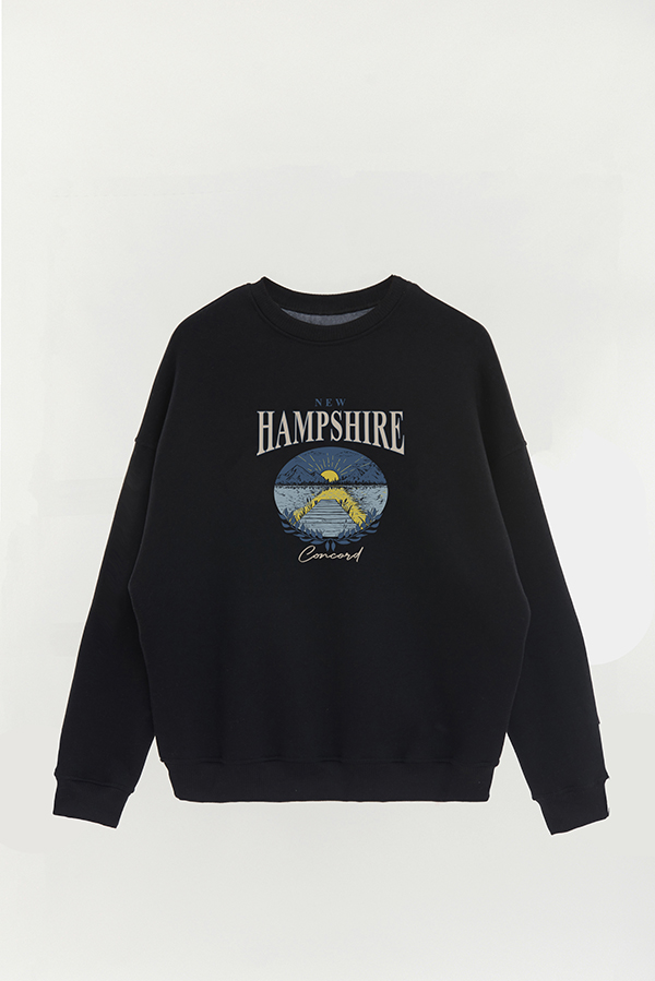 BUZO CREWNECK ESTAMPADO WESTERN HAMPSHIRE