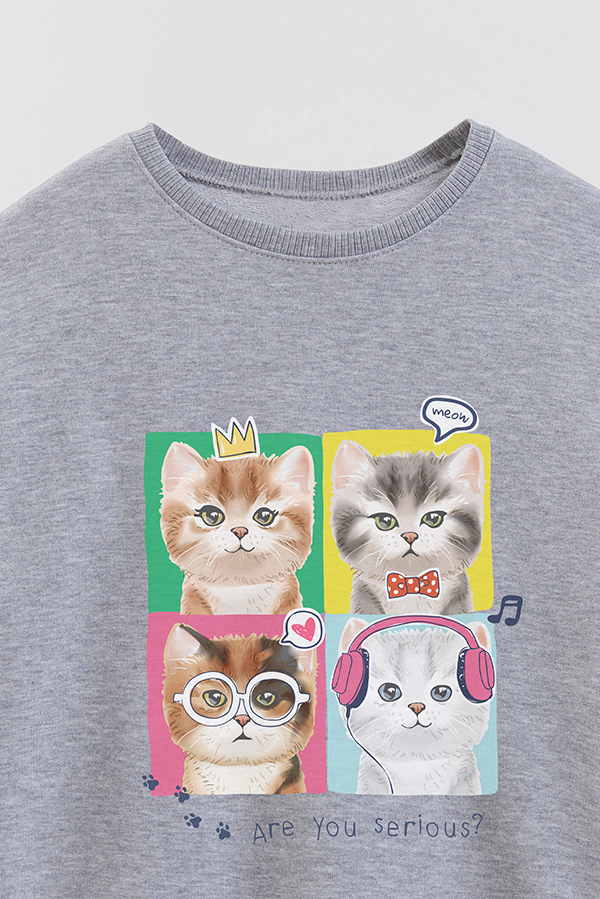 BUZO CREWNECK RUSTICO KITTY DREAMS SERIOUS