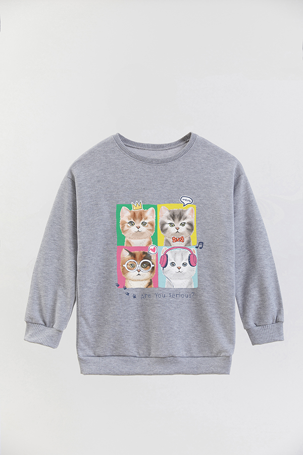 BUZO CREWNECK RUSTICO KITTY DREAMS SERIOUS