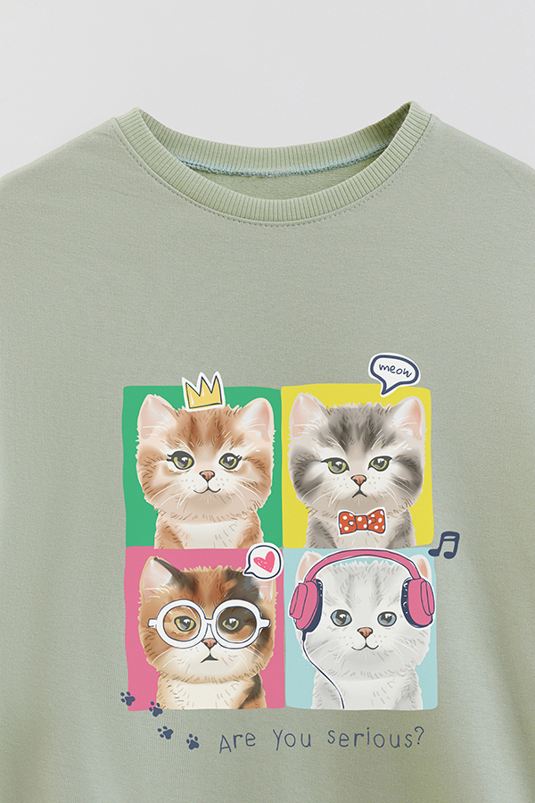 BUZO CREWNECK RUSTICO KITTY DREAMS SERIOUS