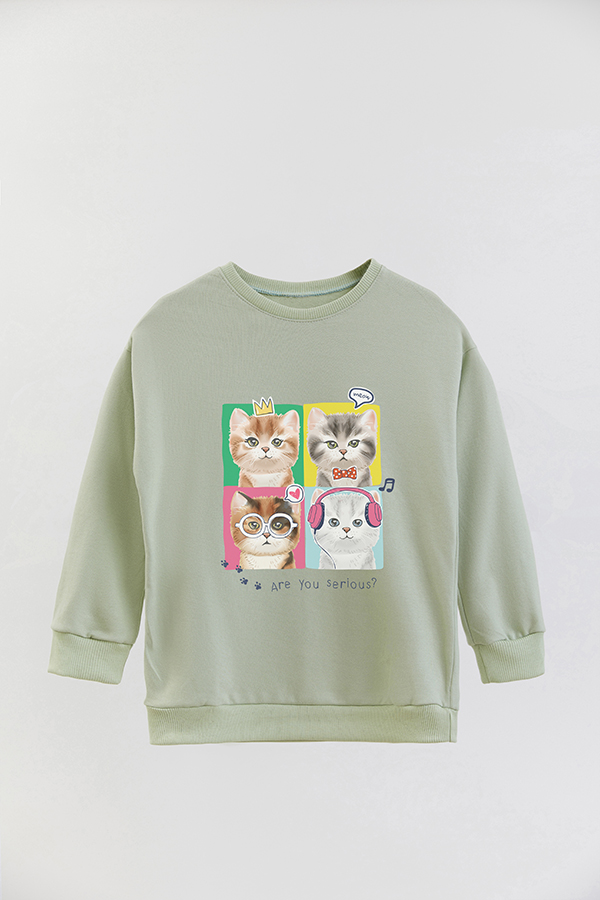 BUZO CREWNECK RUSTICO KITTY DREAMS SERIOUS