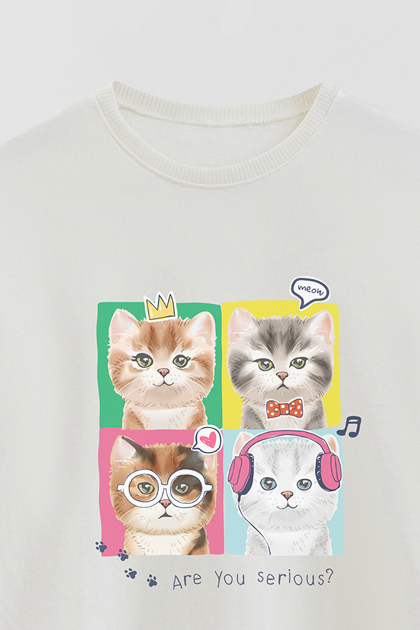 BUZO CREWNECK RUSTICO KITTY DREAMS SERIOUS