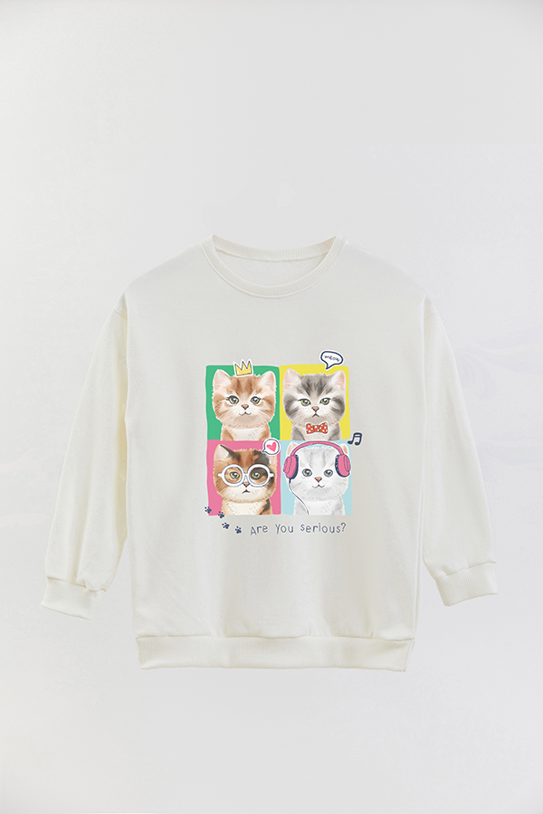 BUZO CREWNECK RUSTICO KITTY DREAMS SERIOUS